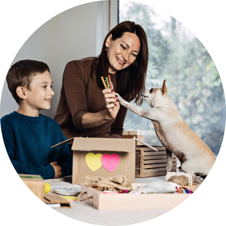 Home and Pet Accessories
